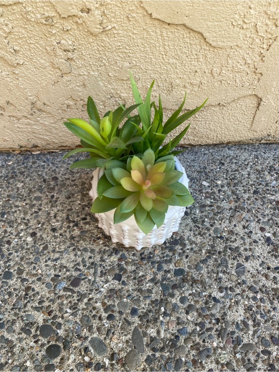 Other - White Ceramic Succulent Planter with Green Faux Succulents